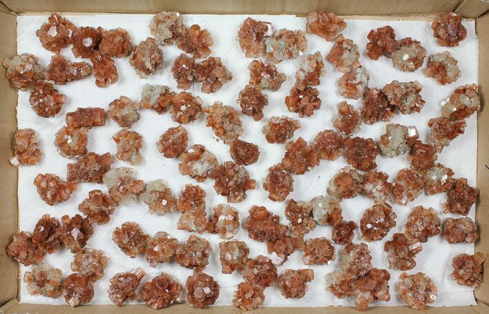 Lot: Twinned Aragonite Clusters - Pieces #103620